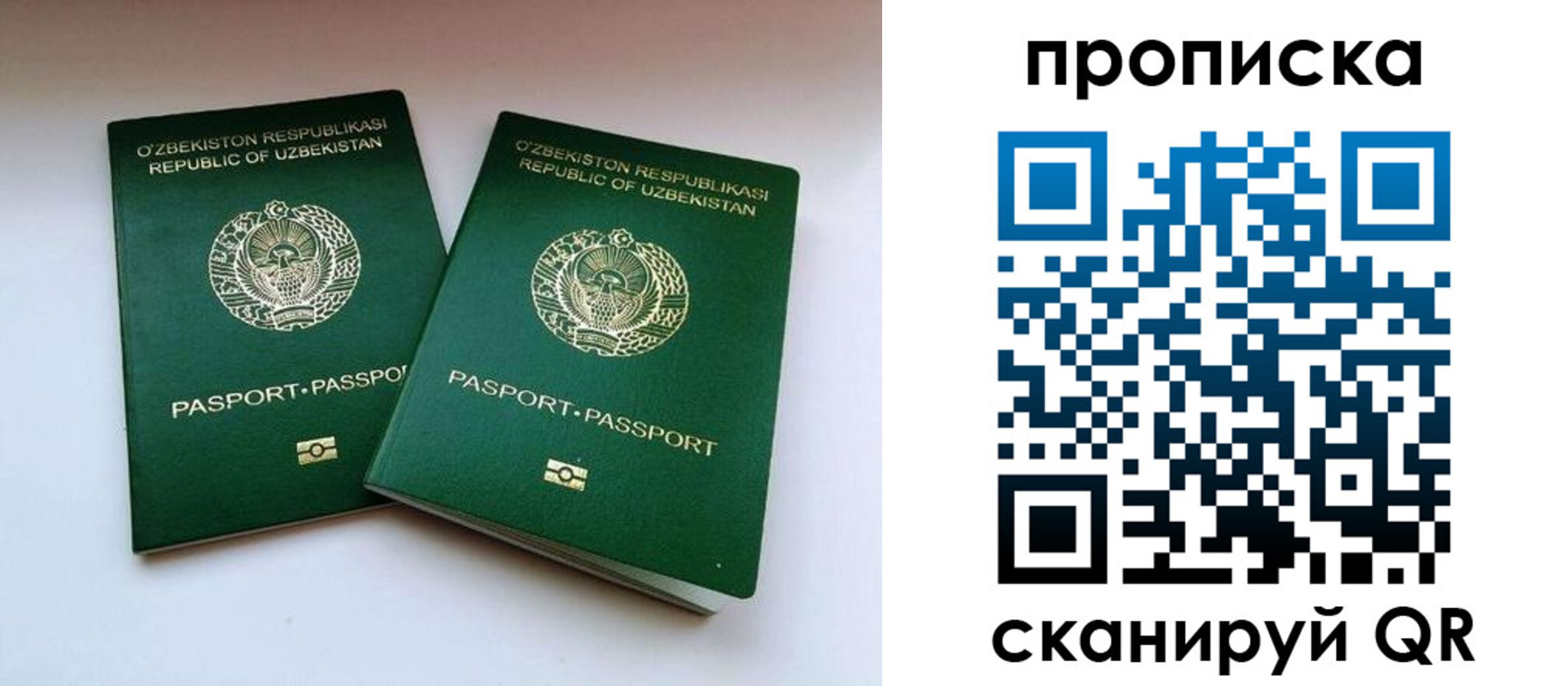 прописка поиск в Сертолово